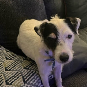 Meet your Posher, Caterina